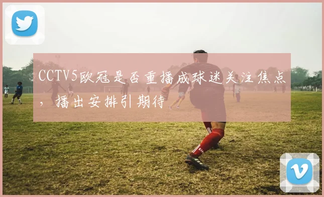 CCTV5欧冠是否重播成球迷关注焦点,播出安排引期待